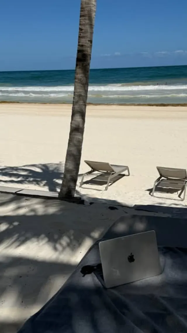Reel: a laptop on a beach lounger under palm trees